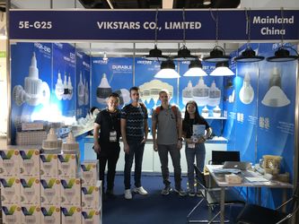 Vikstars Co., Limited linia produkcyjna producenta